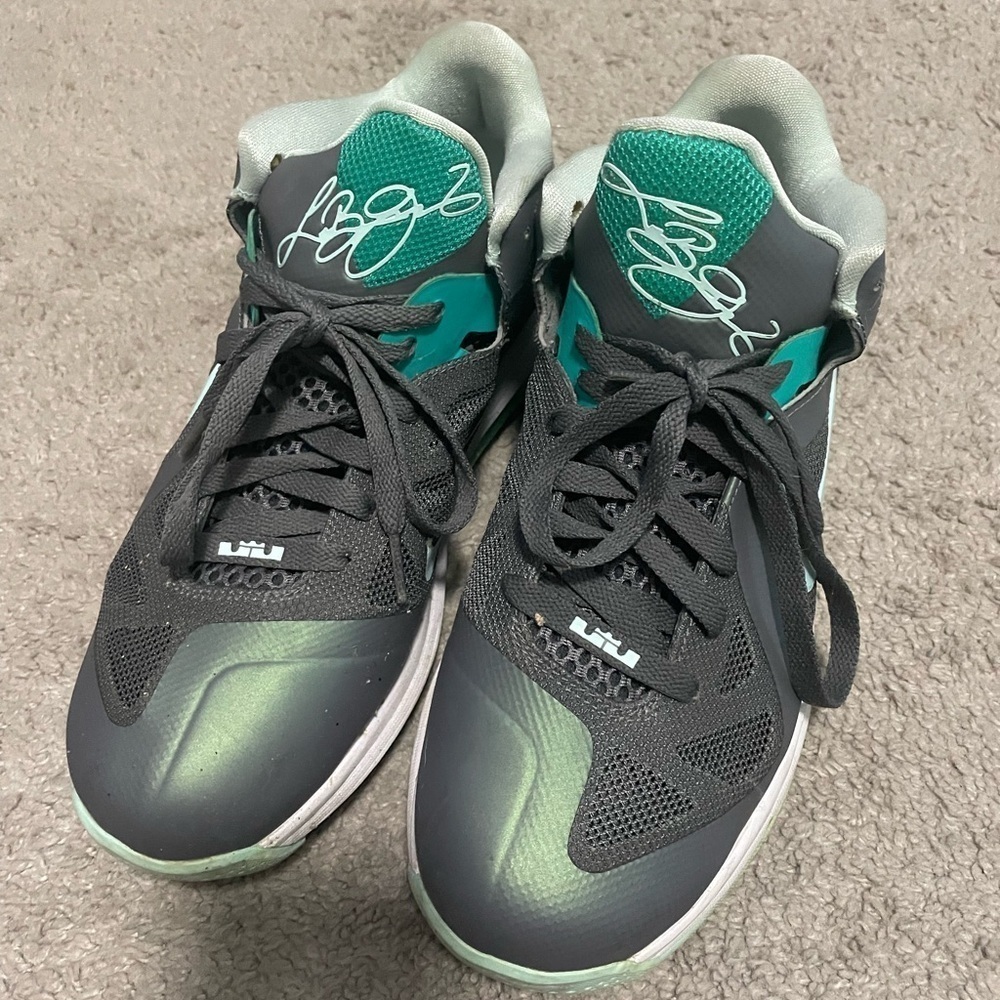 🔥LEBRON 9 EASTER🔥